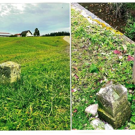 Uebernachtungsmoeglichkeit In Maierhoefen Grunenbach Exteriör bild